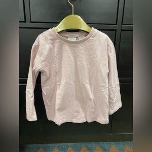 (3 for $20) ZARA Mauve long sleeve shirt